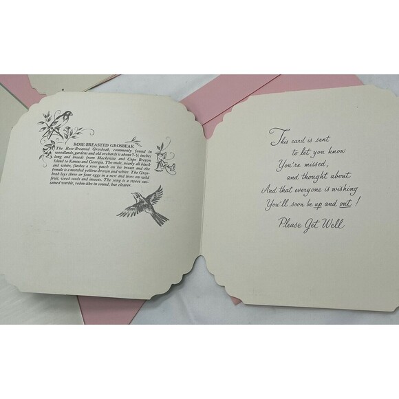 5 VINTAGE QUALITY CREST BEAUTIFUL BIRDS SCENES GREETING CARDS UNUSED ENVLEOPES - Picture 9 of 13